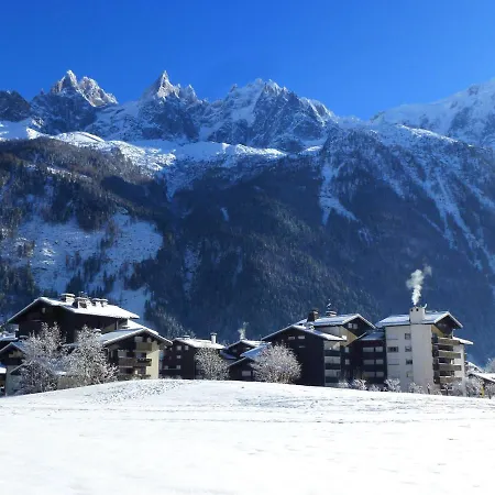 Au Pied Des Pistes Avec Superbe Vue Et Parking Prive - Fr-1-343-217 公寓 霞慕尼